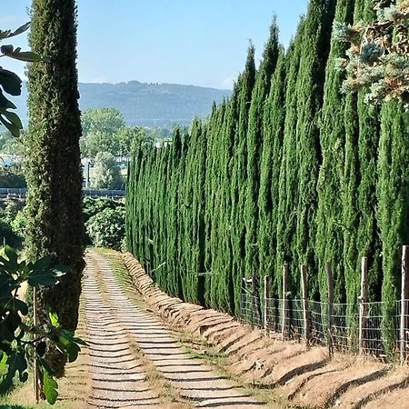 Camugnano Farm Villa Rapolano Terme Buitenkant foto