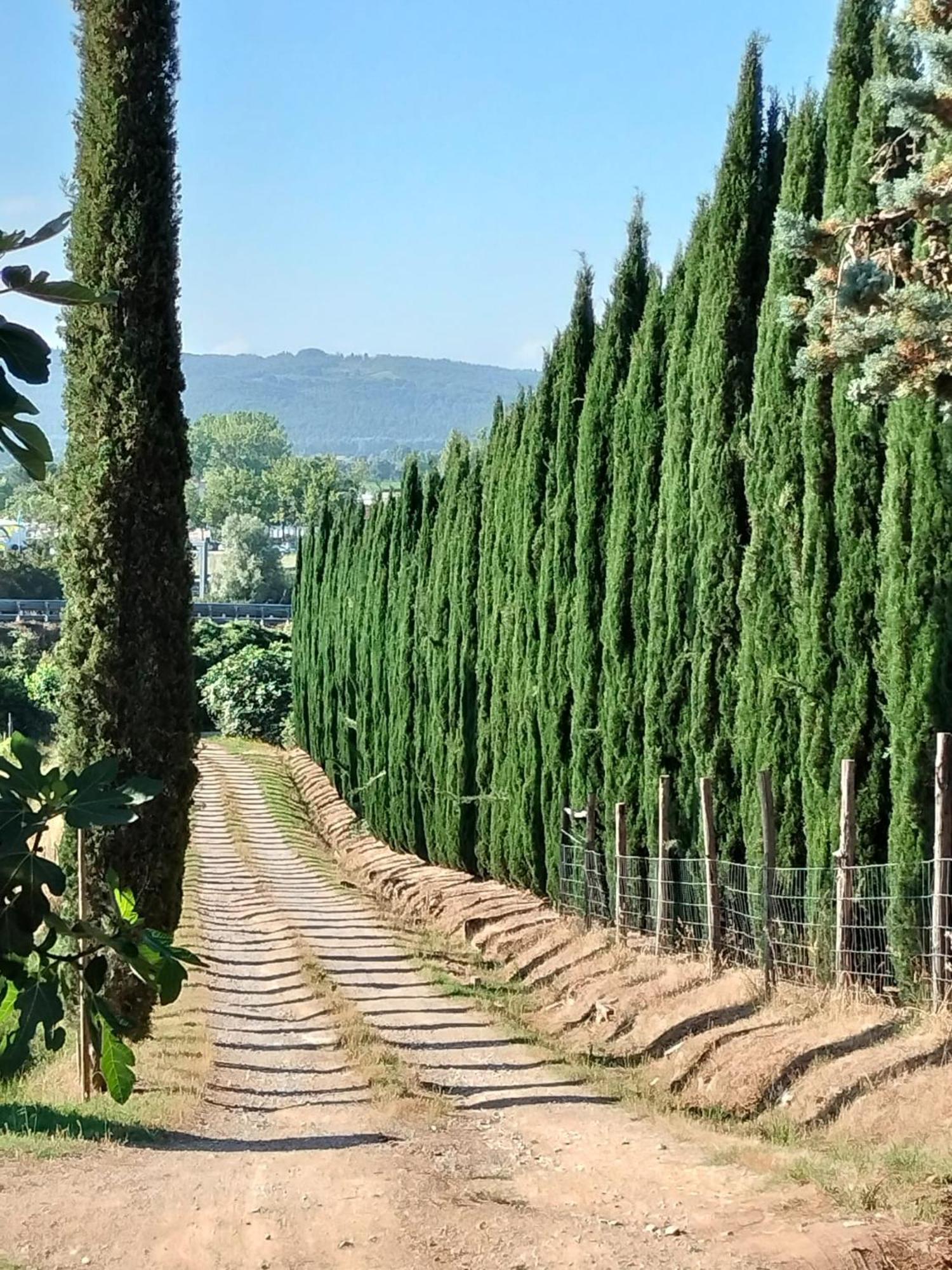 Camugnano Farm Villa Rapolano Terme Buitenkant foto